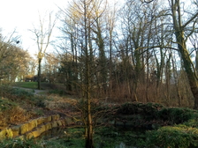 Kriegsopfer Weltkrieg 37