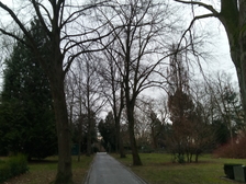 Kriegsopfer Weltkrieg 4