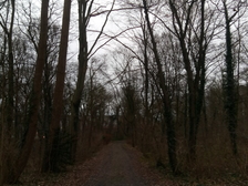 Kriegsopfer Weltkrieg 60