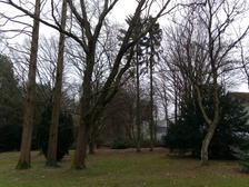 Kriegsopfer Weltkrieg 6