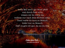 Laura Michelle Treutel 21