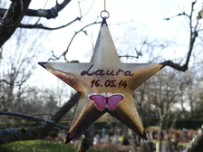 Laura Nestorovic Cvijic 233