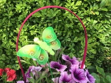 Laura Nestorovic Cvijic 280