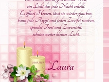 Laura Nestorovic Cvijic 364