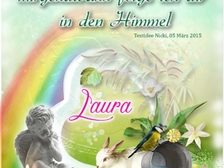 Laura Nestorovic Cvijic 498
