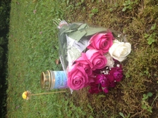 Laura Nestorovic Cvijic 64