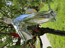 Laura Nestorovic Cvijic 679