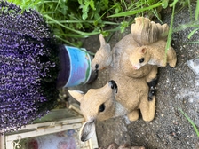 Laura Nestorovic Cvijic 728