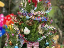 Laura Nestorovic Cvijic 733