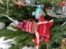 Laura Nestorovic Cvijic 764