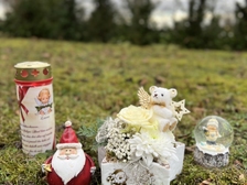 Laura Nestorovic Cvijic 767