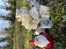 Laura Nestorovic Cvijic 771