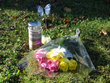 Laura Nestorovic Cvijic 97