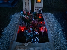 Lauri Elias Beier 111