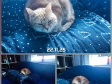 Lauri Elias Beier 150