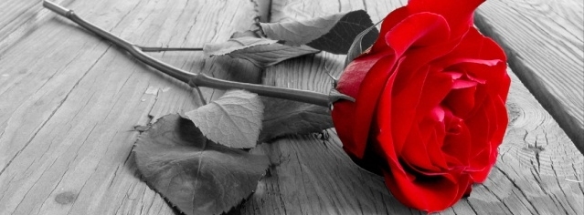 Stimmungsbild-Lea-Töteberg-1