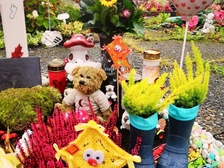 Leano Raphael Renner 13