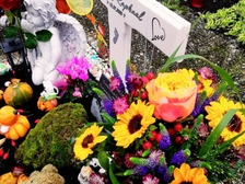 Leano Raphael Renner 14