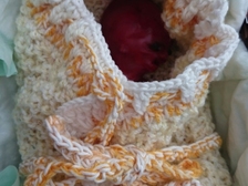 Leon Alexander Krause 12