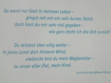 Leon Alexander Krause 14