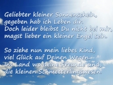 Leon Alexander Krause 16