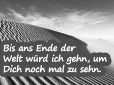 Leon Alexander Krause 17