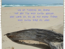 Leon Alexander Krause 19