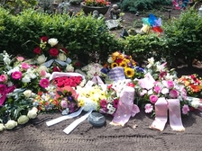 Leon Alexander Krause 29