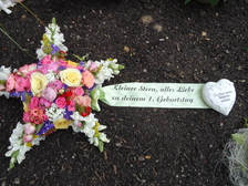 Leon Alexander Rosenau 20