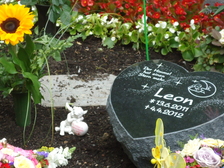 Leon Alexander Rosenau 22