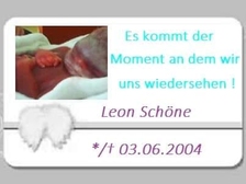 Leon Schöne 61