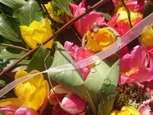 Leonie Elaine Machacek 12