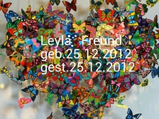 Leyla Freund 38