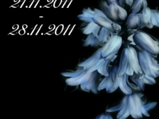 Lilly Sophie Köhler 14