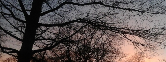 Stimmungsbild-Ljubo-Zivkovic-2