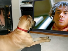 Lorenz A Aus Oldenburg 105