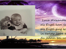 Luca-Alexander Meier 1