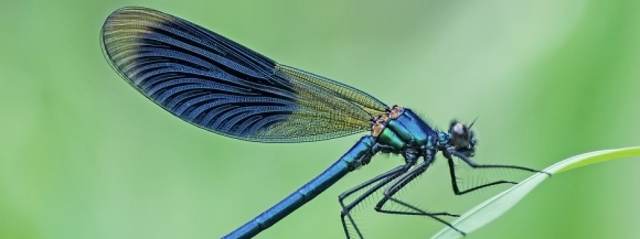 Stimmungsbild-Luise-Lühn-77