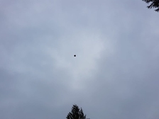 Manfred Borgerding 65