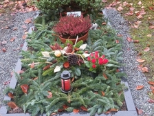 Marcel Poley 15