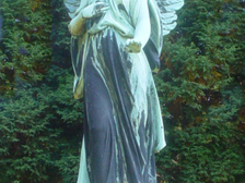 Marie-Luise Bertram 11