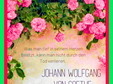 Marie-Luise Bertram 15