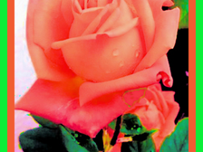 Marie-Luise Bertram 22