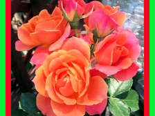 Marie-Luise Bertram 23