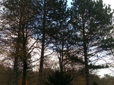 Mario Schüppstuhl 26