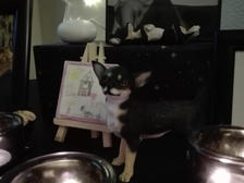 Marita Yvonne Bornefeld 6