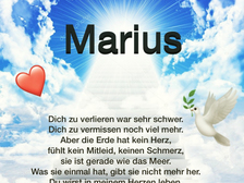 Marius Meier 18