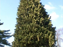 Martha Maria Titze 2