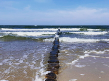 Marzena Teresa Stefan 3