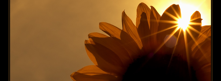 Stimmungsbild-Mathilde-Fröhlich-1